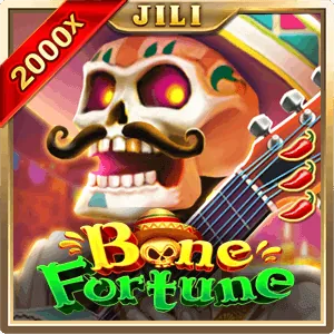Game Software Provider 2